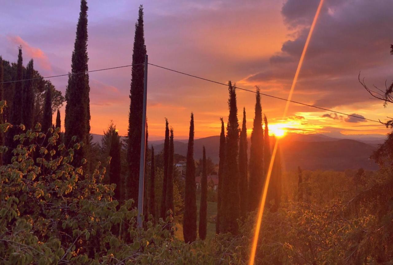 La Casa Di Nonno Pelago