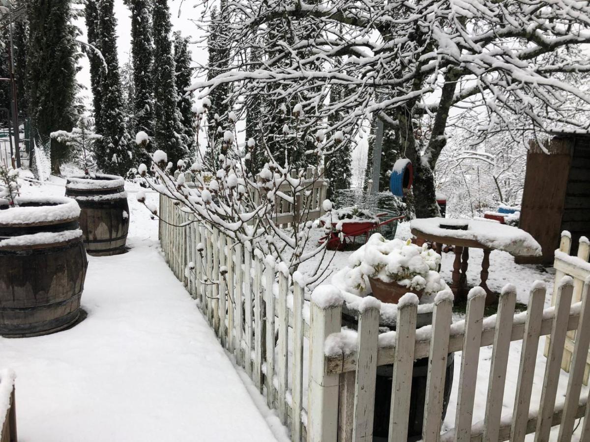 La Casa Di Nonno Pelago