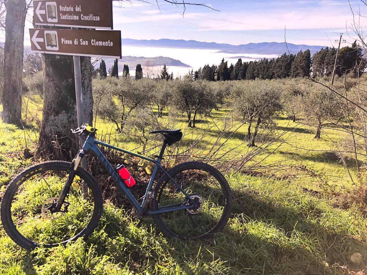 La Casa Di Nonno * Pelago
